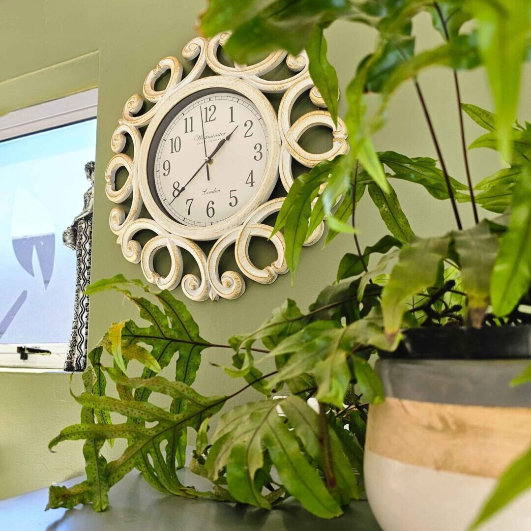 A stylish wall clock with a decorative frame hanging next to a potted plant at Northern Vine B&B in Brackenfell, adding a touch of elegance and charm to the room